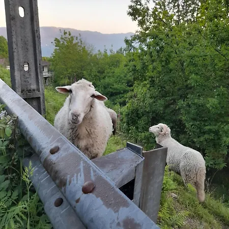 Casa Da Foz By Geres Casas Сasa de vacaciones