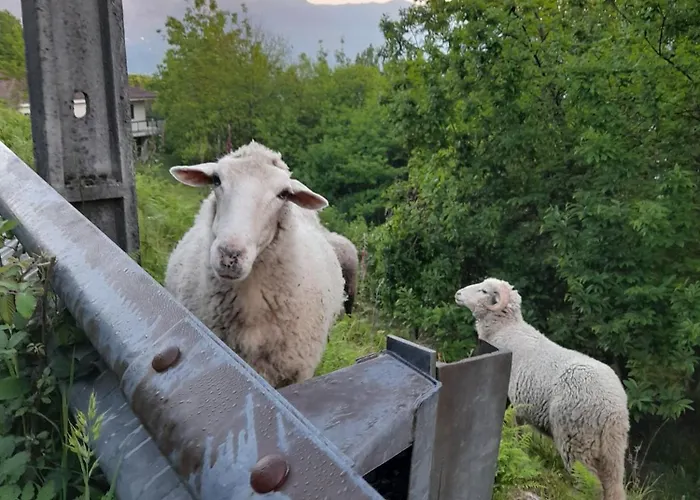 Casa Da Foz By Geres Casas Ferienhaus